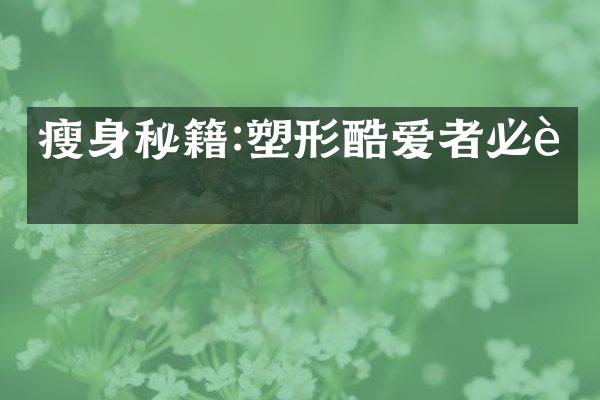 瘦身秘籍:塑形酷爱者必读