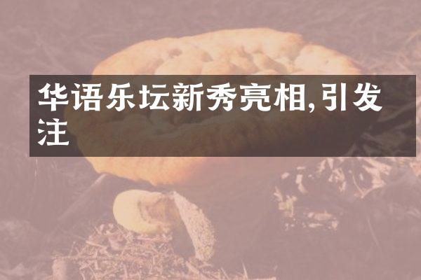 华语乐坛新秀亮相,引发关注