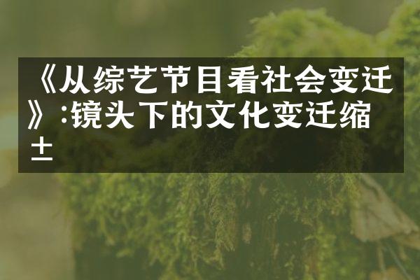 《从综艺节目看社会变迁》:镜头下的文化变迁缩影