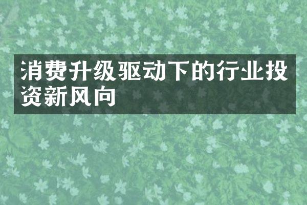 消费升级驱动下的行业投资新风向