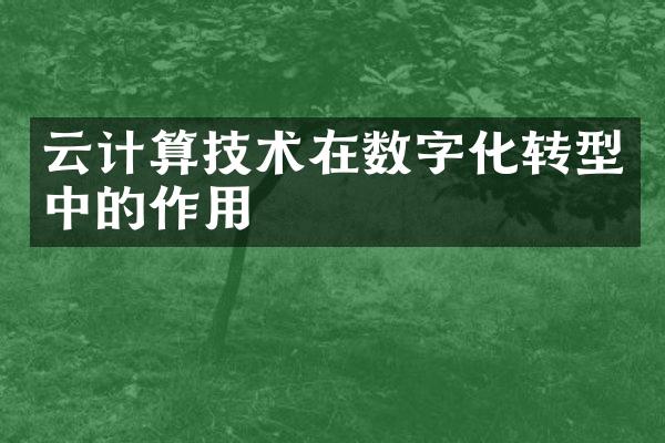 云计算技术在数字化转型中的作用