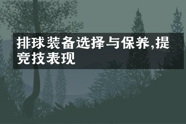 排球装备选择与保养,提升竞技表现