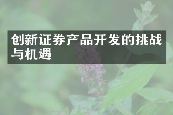 创新证券产品开发的挑战与机遇