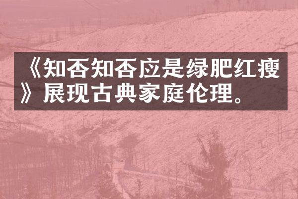 《知否知否应是绿肥红瘦》展现古典家庭伦理。