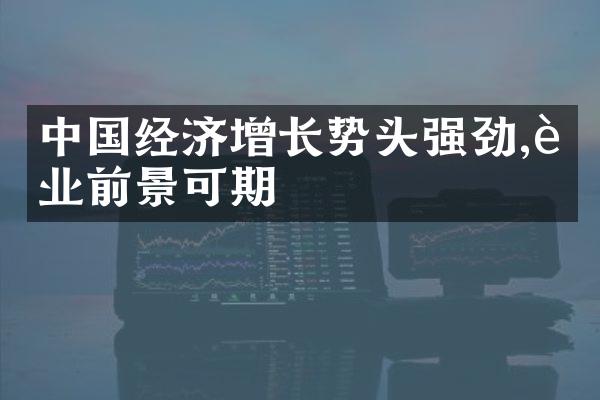 中国经济增长势头强劲,行业前景可期