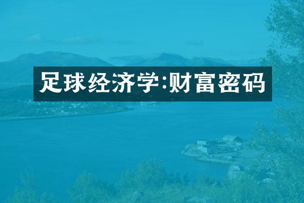 足球经济学:财富密码