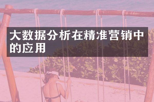 大数据分析在精准营销中的应用