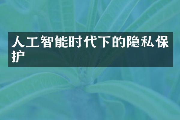 人工智能时代下的隐私保护