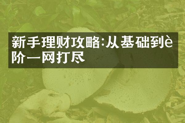 新手理财攻略:从基础到进阶一网打尽