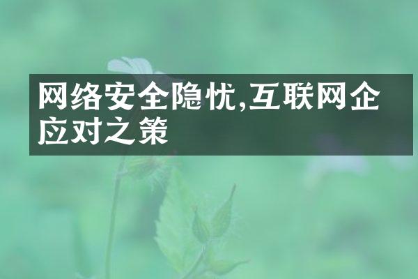 网络安全隐忧,互联网企业应对之策