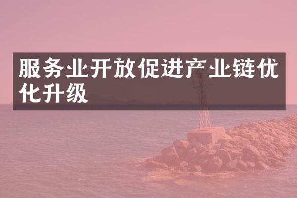 服务业开放促进产业链优化升级