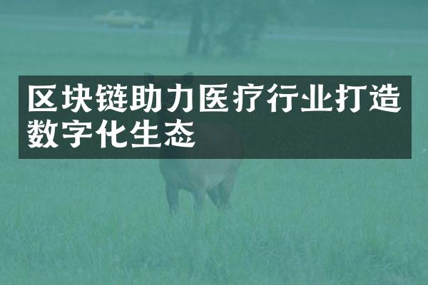 区块链助力医疗行业打造数字化生态