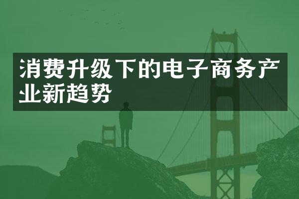 消费升级下的电子商务产业新趋势