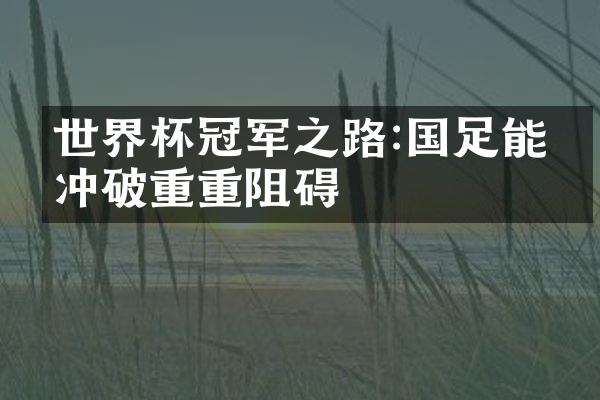 世界杯冠军之路:国足能否冲破重重阻碍