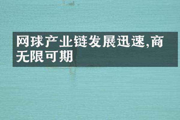 网球产业链发展迅速,商机无限可期