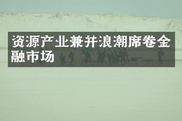 资源产业兼并浪潮席卷金融市场