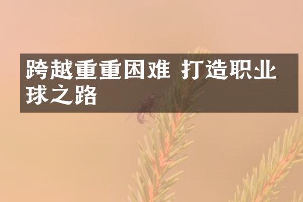 跨越重重困难 打造职业篮球之路