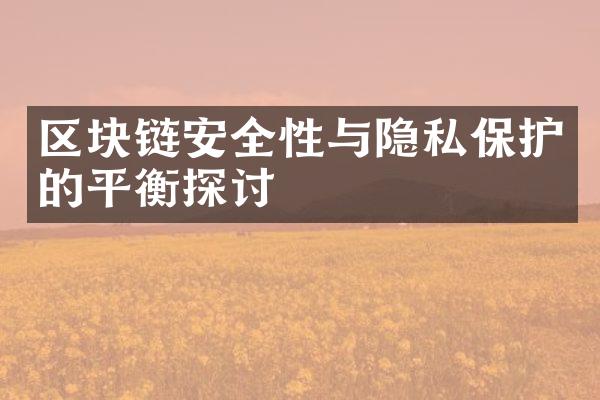 区块链安全性与隐私保护的平衡探讨