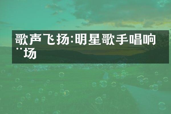 歌声飞扬:明星歌手唱响全场