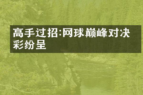 高手过招:网球巅峰对决精彩纷呈