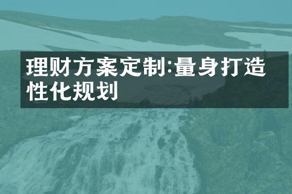 理财方案定制:量身打造个性化规划