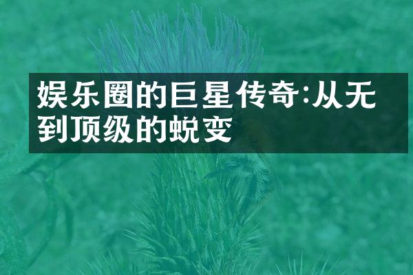 娱乐圈的巨星传奇:从无名到顶级的蜕变