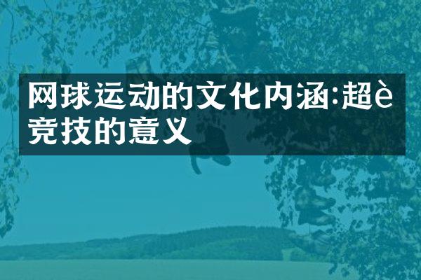 网球运动的文化内涵:超越竞技的意义