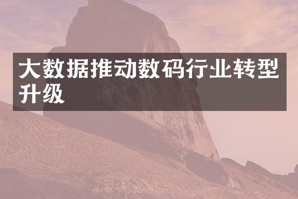 数据推动数码行业转型升级