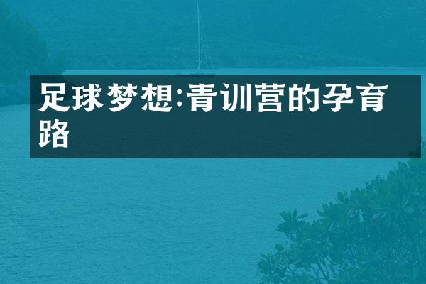 足球梦想:青训营的孕育之路