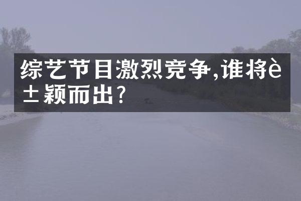 综艺节目激烈竞争,谁将脱颖而出?