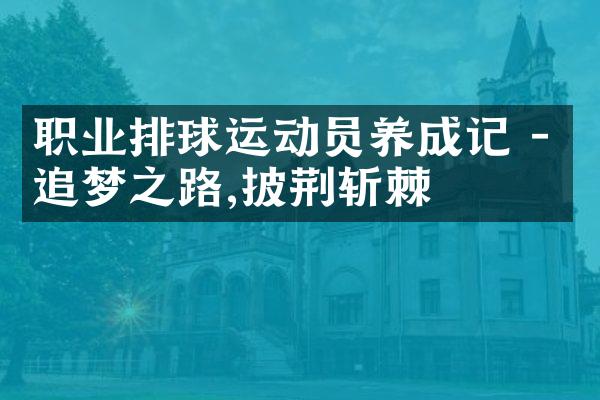 职业排球运动员养成记 - 追梦之路,披荆斩棘