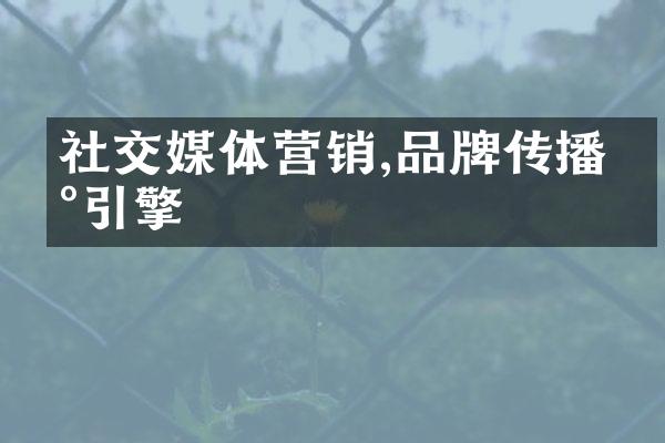 社交媒体营销,品牌传播新引擎