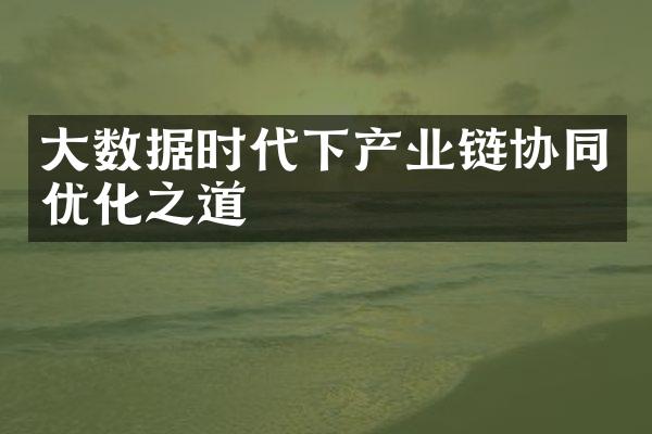 大数据时代下产业链协同优化之道