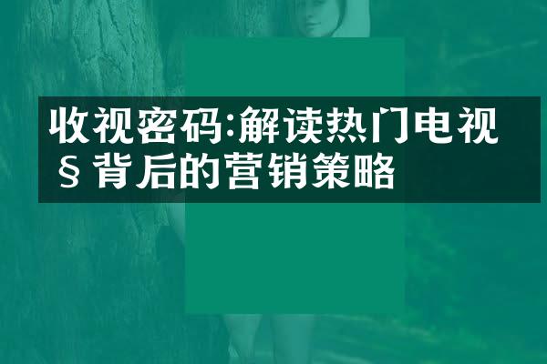 收视密码:解读热门电视剧背后的营销策略