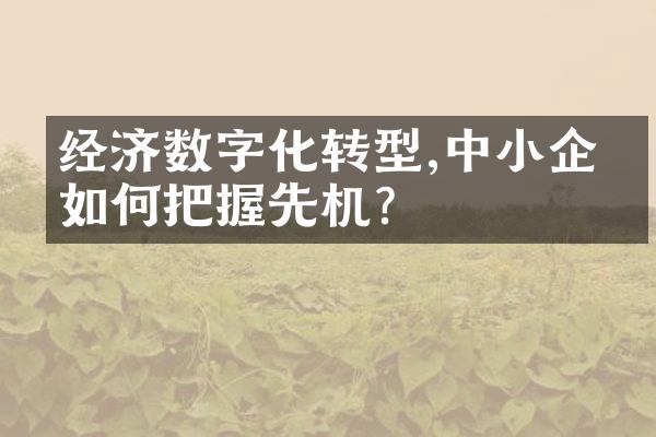 经济数字化转型,中小企业如何把握先机?