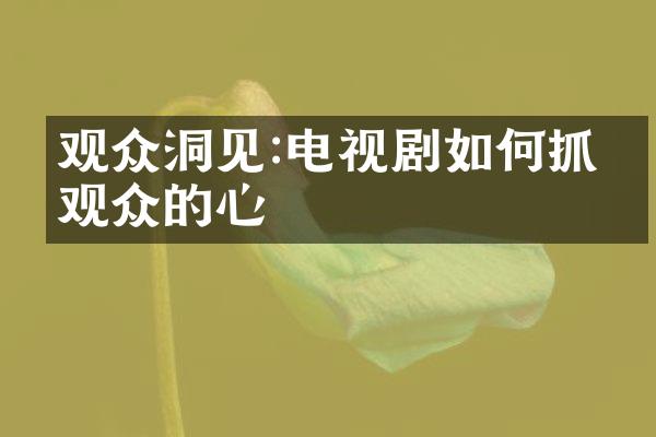 观众洞见:电视剧如何抓住观众的心