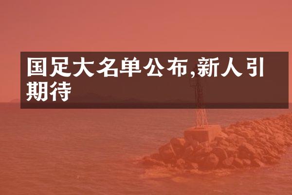 国足大名单公布,新人引发期待