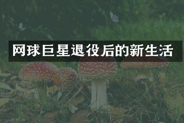 网球巨星退役后的新生活