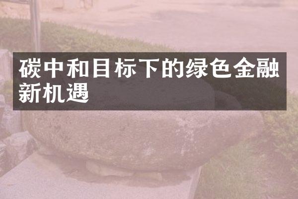 碳中和目标下的绿色金融新机遇