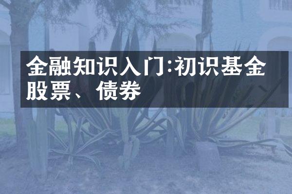 金融知识入门:初识基金、股票、债券