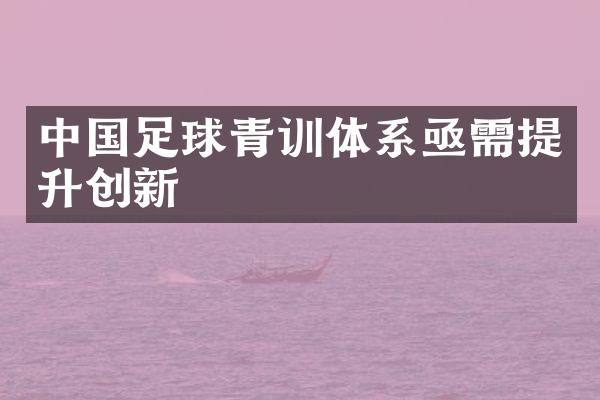 中国足球青训体系亟需提升创新