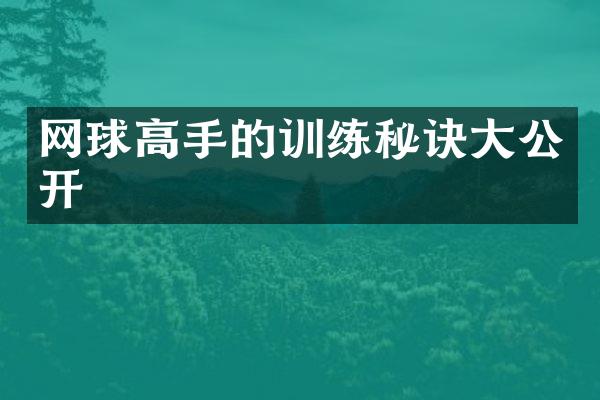 网球高手的训练秘诀公开