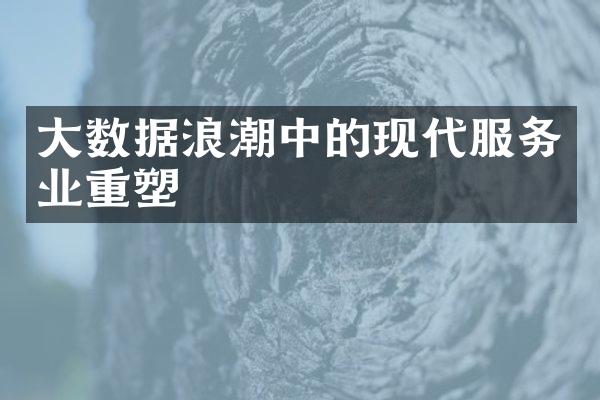 大数据浪潮中的现代服务业重塑