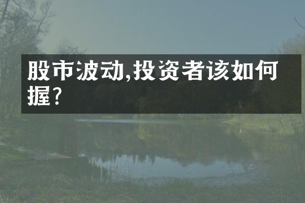 股市波动,投资者该如何把握?