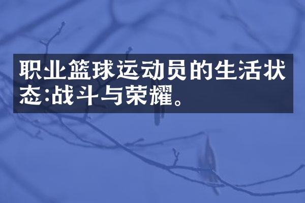 职业篮球运动员的生活状态:战斗与荣耀。