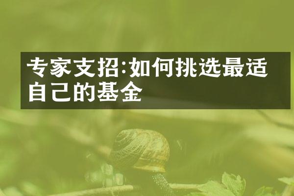 专家支招:如何挑选最适合自己的基金