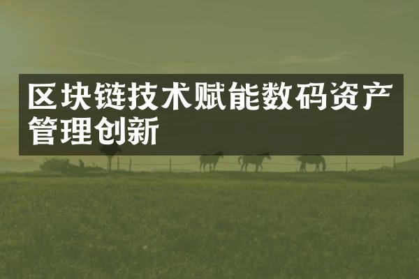 区块链技术赋能数码资产管理创新