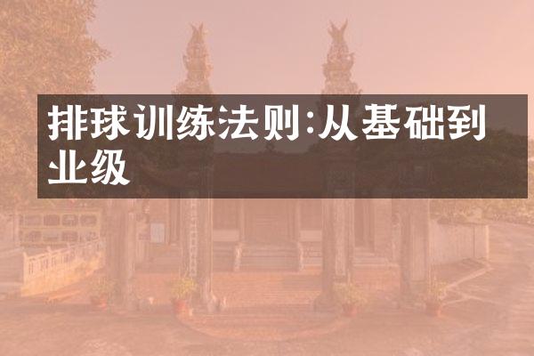 排球训练法则:从基础到专业级