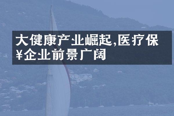 大健康产业崛起,医疗保健企业前景广阔