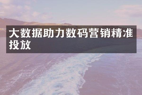 数据助力数码营销精准投放